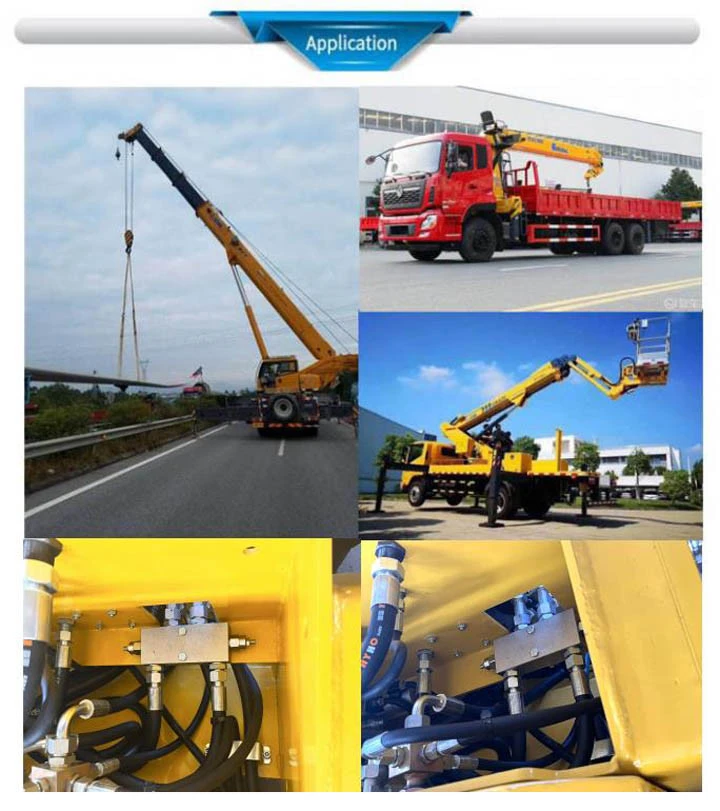 Hydraulic Components Single Overcenter Valve